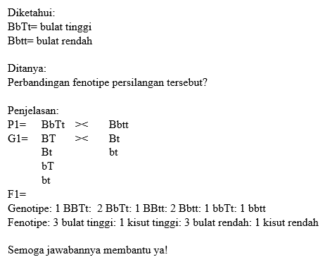 Pada Tanaman Labu, Sifat Buah Bulat (B) Dominan Te...