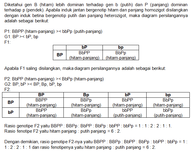 Diketahui Gen B (hitam) Lebih Dominan Terhadap Gen...