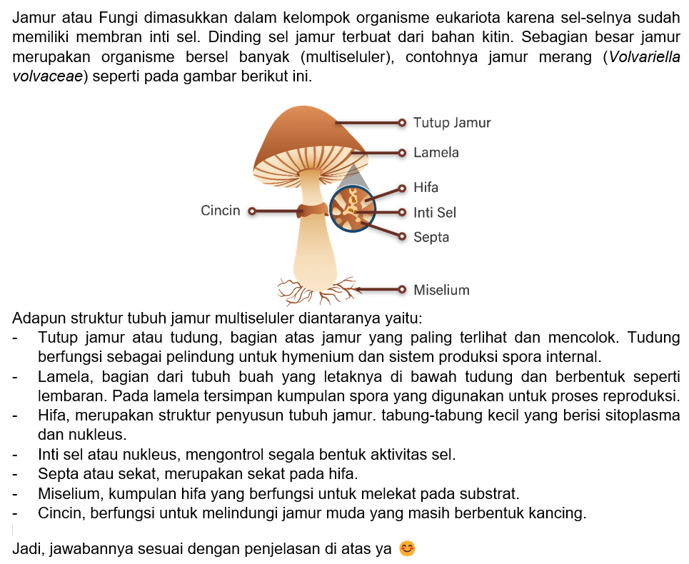 Struktur Tubuh Jamur Beserta Keterangan Dan Fungsi