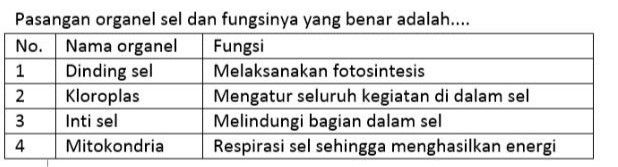 Pasangan Organel Sel Dan Fungsinya Yang Benar Adal...