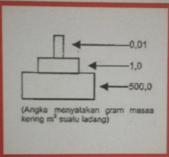 Perhatikan Gambar Piramida Ekologi Berikut Ini!, P...