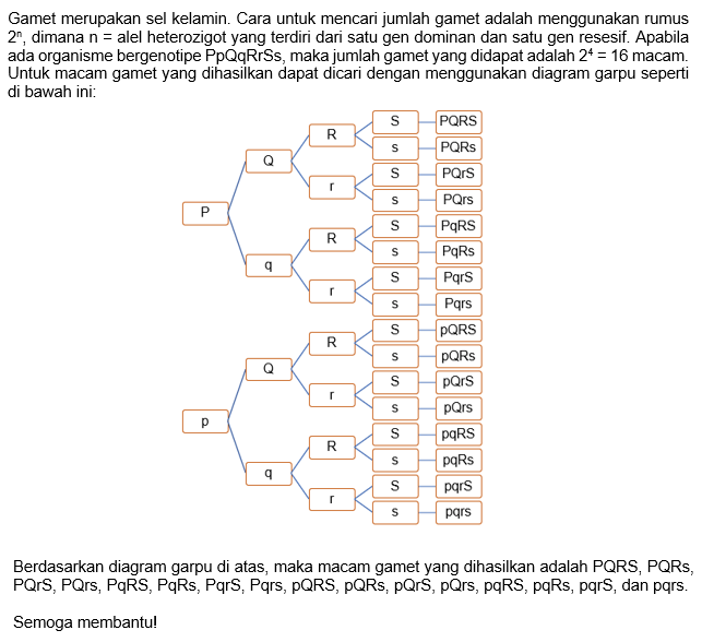 Organisme Bergenotip PpQq R R S S Tentukan Jumlah ...