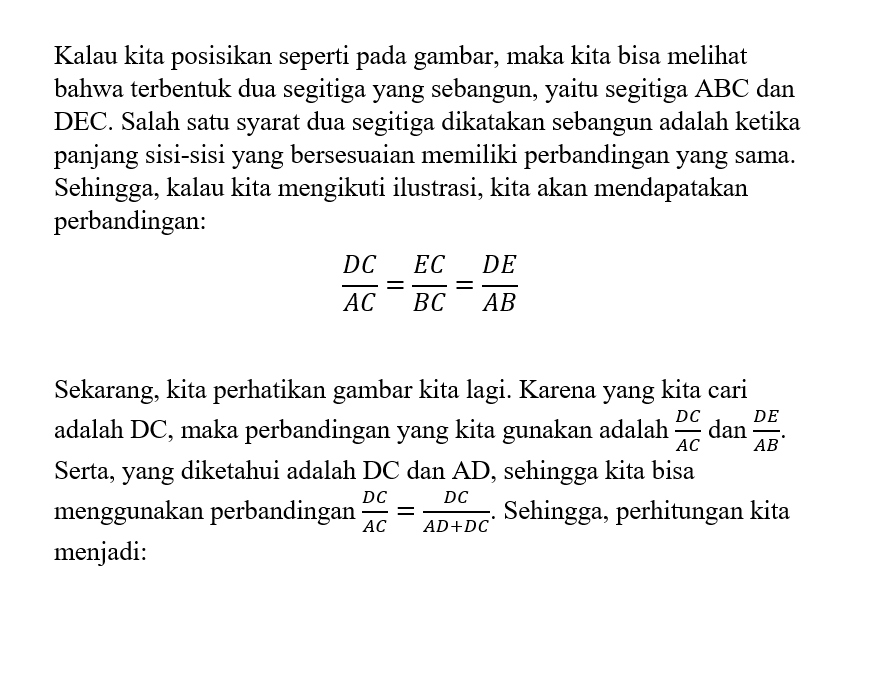 Sebuah Pohon Yang Tingginya 6m Berdiri Tegak Pada ...