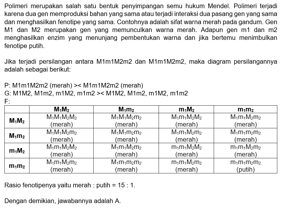 Warna B I J I Gandum Merah Ditentukan Oleh M1 Dan ...