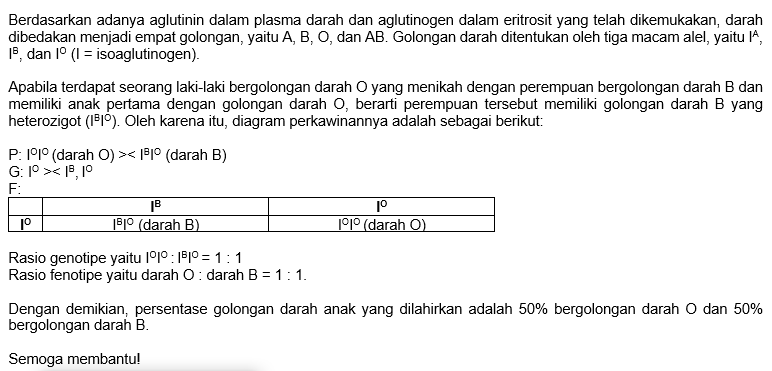 Seorang Laki-laki Bergolongan Darah O Menikah Deng...