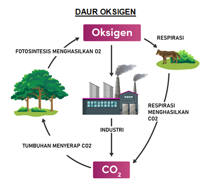 Oksigen Merupakn Zat Yang Penting Dalam Kehidupan....