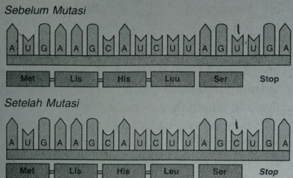 Pernyataan yang sesuai dengan gambar tersebut adal...