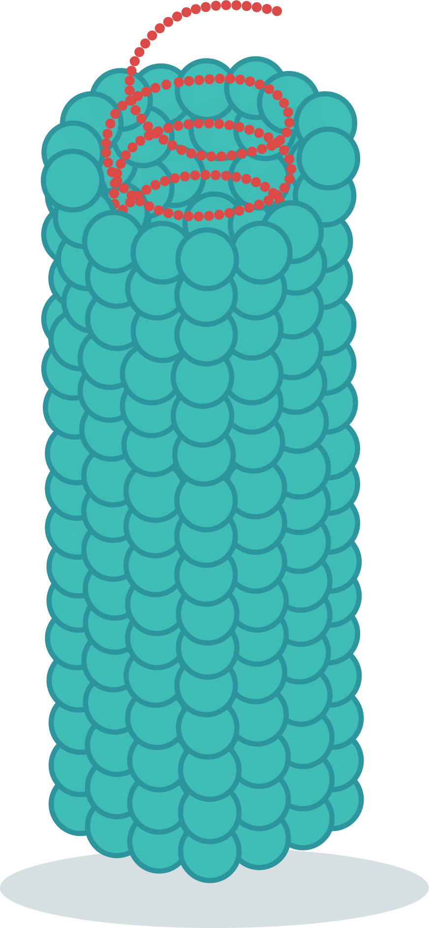 alt