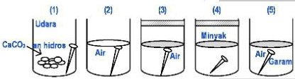 Perhatikan Gambar Proses Korosi Berikut! Proses Ko...