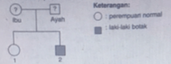 Perhatikan Peta Silsilah Berikut! Apabila Individ...