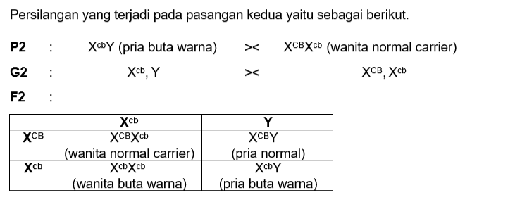 Gen Buta Warna Terletak Pada Kromosom X. Sepasang ...