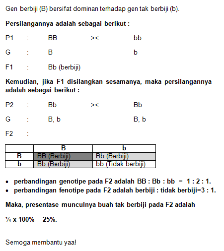 Dilakukan Persilangan Antara Buah Berbiji (BB) Den...