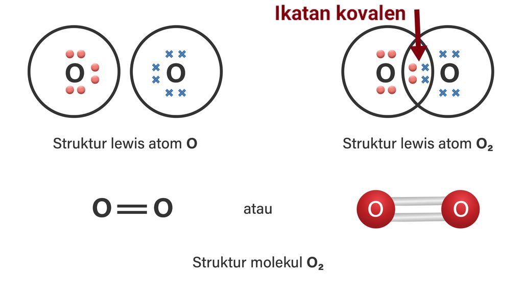 Ikatan Kovalen Dapat Berupa Ikatan Tunggal Dan Ika...