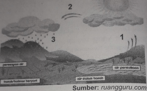 Proses Yang Ditunjukkan Oleh Nomor 1, 2 Dan 3 Adal...