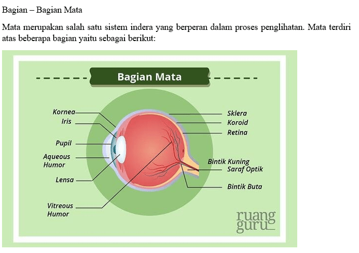 Deskripsikan Bagian Mata Beserta Fungsinya