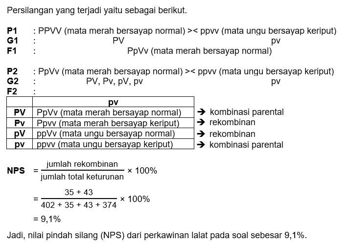 Lalat jantan bermata merah bersayap normal (PPVV)