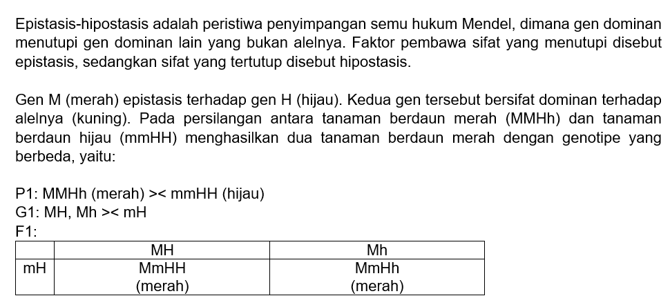 Dua Gen M (merah), Epistasis Terhadap Gen H(hijau)...