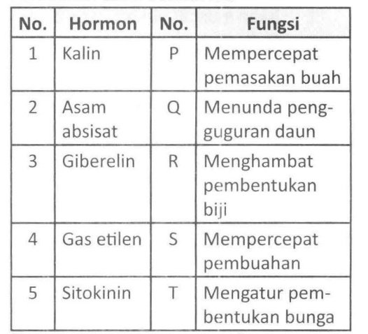 Perhatikan Tabel Berikut Ini! Pasangan Yang Tepat...