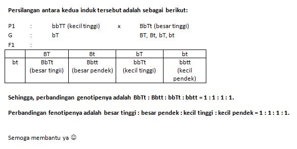 Diketahui Genotif Tanaman Induk Sebagai Berikut