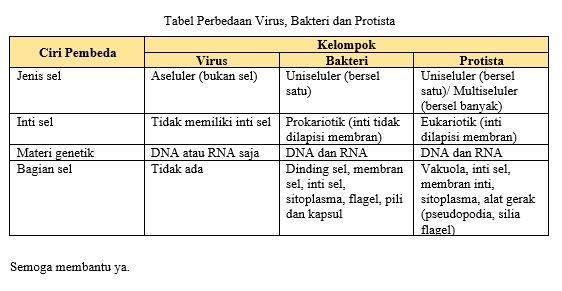 Buatlah Tabel Perbedaan Virus Bakteri Dan Protis