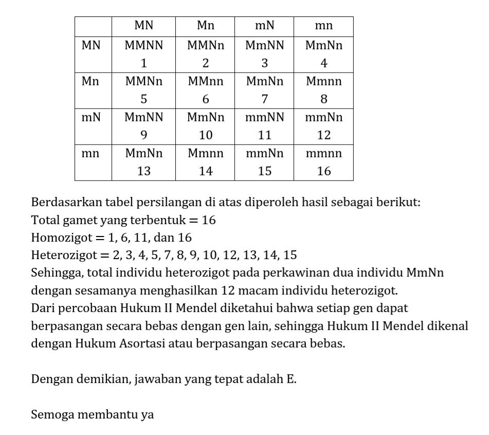 Perkawinan Antara Dua Individu Bergenotip MmNn Den...