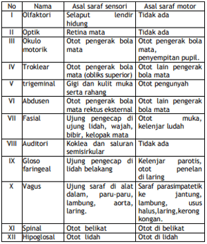 Jawablah Pernyataan Berikut Benar (B) Atau Salah