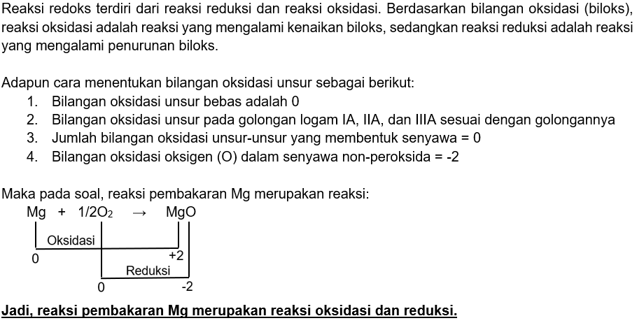 Menjelaskan Tentang Reaksi Pembakaran Lembaran Mag...