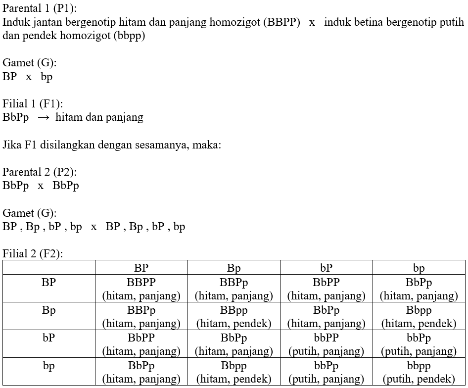 Diketahui Gen B (hitam) Lebih Dominan Terhadap Gen...