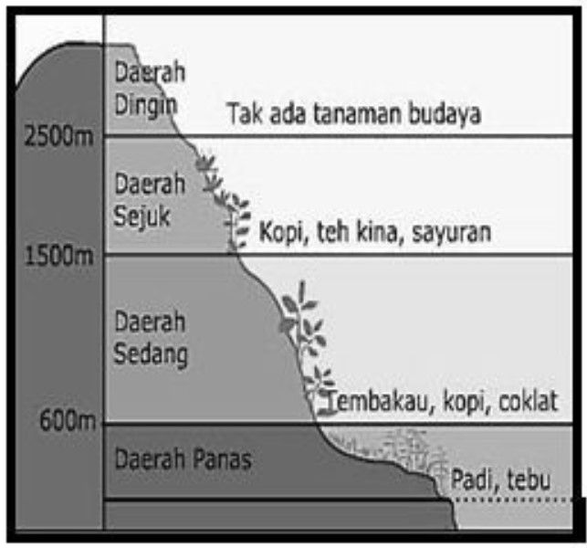 Perhatikan Gambar Berikut! Berdasakan Klasifikasi ...