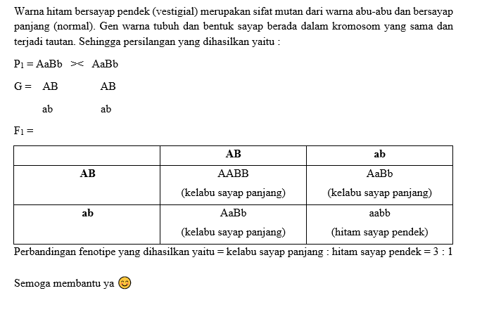 Diketahui : Gen A = Tubuh Kelabu Dan Gen A = Hitam...