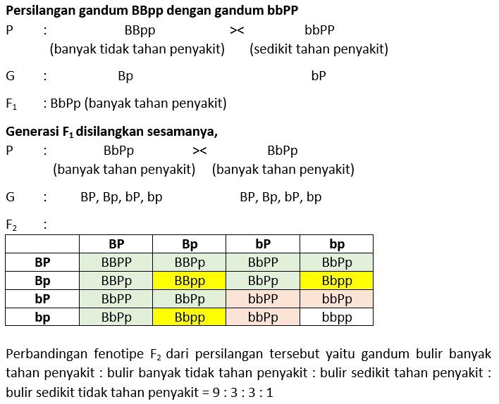 Selesaikanlah Persilangan Dihibrid Di Bawah Ini! S...