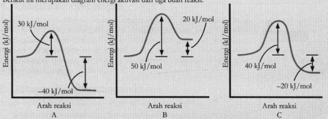 Berikut Ini Merupakan Diagram Energi Aktivasi Dari