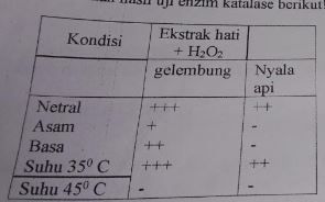 Perhatikan Hasil Uji Enzim Katalase Berikut! Berd...