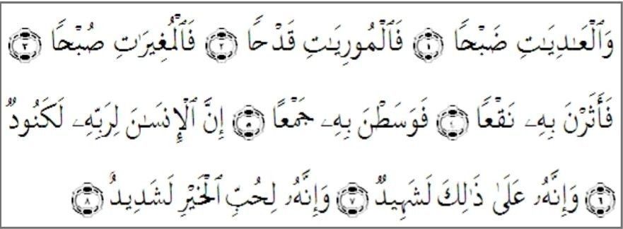 Mikro bikini ochib beradigan mushuk