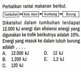 Diketahui Dalam Tumbuhan Terdapat 12.000 KJ Energi...