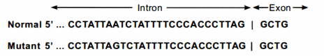 Urutan Pengkode Dari DNA Gen Beta Globin Normal Da...