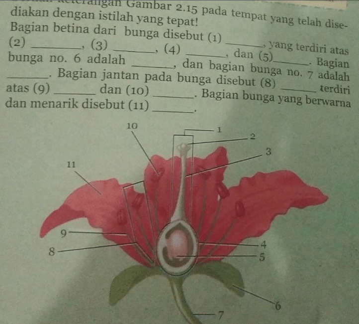 Berilah Keterangan Gambar 2.15 Pada Tempat Yang Te...