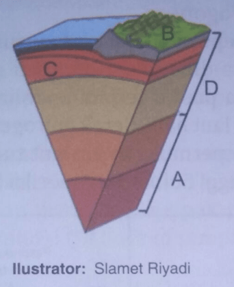 Perhatikan Ilustrasi Struktur Bumi Berikut! Jelask...