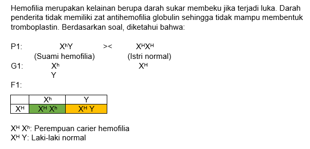 Sebuah Keluarga Yang Terdiri Dari Suami Yang Mende...