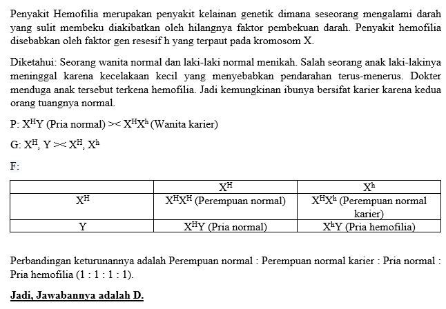 Seorang Wanita Normal Dan Laki-laki Normal Menikah...