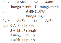 Perhatikan Diagram Persilangan Berikut. Berdasark...