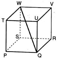 Perhatikan Kubus PQRS. TUVW Di Atas, Jika Panjang ...
