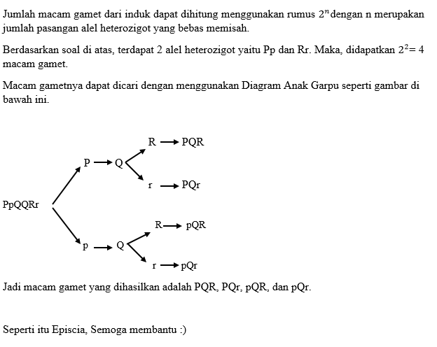 Suatu Organisme Mempunyai Genotipe PpQQRr. Gamet Y...
