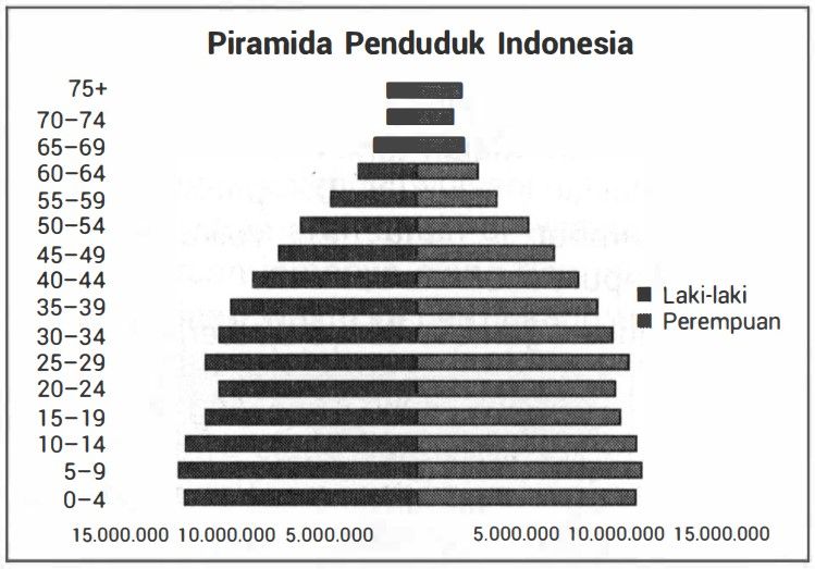 Perhatikan Piramida Penduduk Berikut. Berdasar Pir...