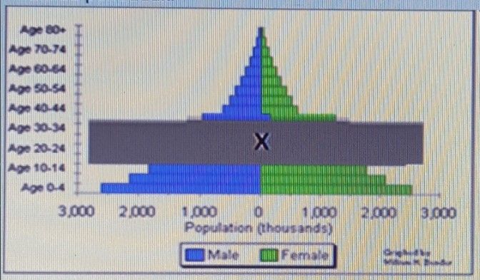 Berdasarkan Piramida Penduduk Seperti Pada Gambar,...