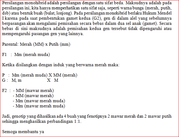 Perhatikan Bagan Berikut! P1 Merah X Putih MM Mm...