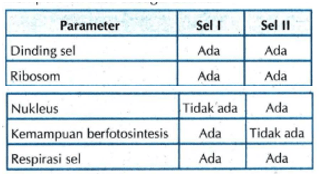 Seorang Siswa Mengamati Dua Kelompok Sel Dan Mempe...