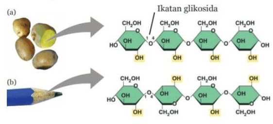 Perhatikanlah Gambar Berikut Ikatan Glikosida I