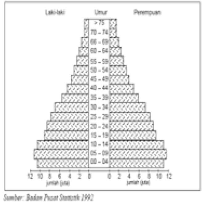 Perhatikan Gambar Piramida Penduduk Berikut. Bentu...