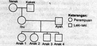 Perhatikan Peta Silsilah Keluarga Berikut Ini! Di...